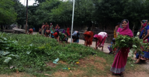 Planting Activities