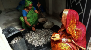 Dry-fish vending activities
