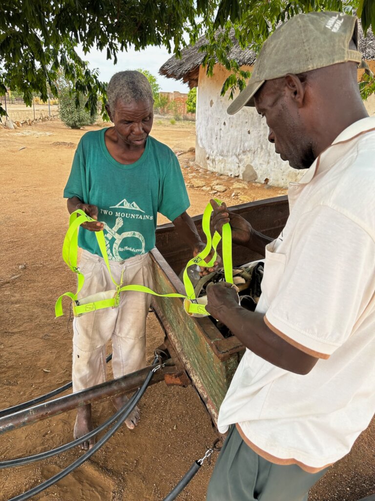 Support and welfare for working donkeys