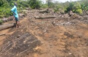 Newly purchased land for our Children Wellness