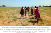 Conserve, Restore Turkana Grazing Lands.