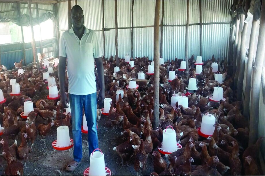 Support, Build 15Women Poultry Enterprise.