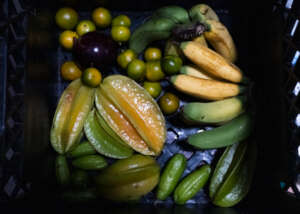 Harvested fruits from the Food Resiliency Hub