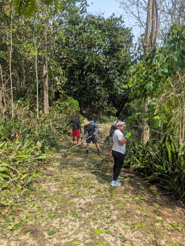 Volunteers cleaning up storm damage