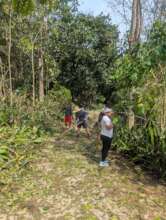 Volunteers cleaning up storm damage