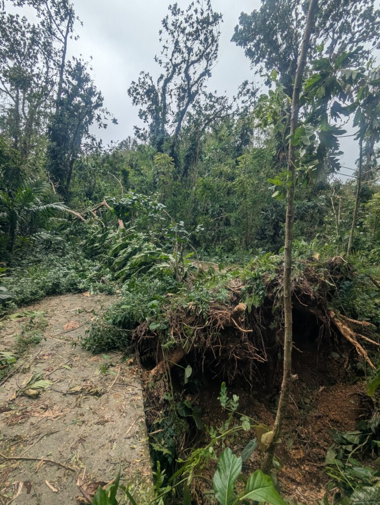 GSC Food Resiliency Hub