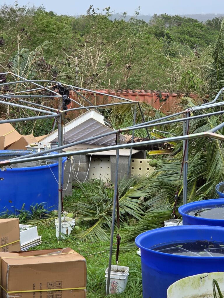 Damaged aquaponic systems