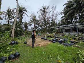 Damaged plant nursery at the Food Resiliency Hub