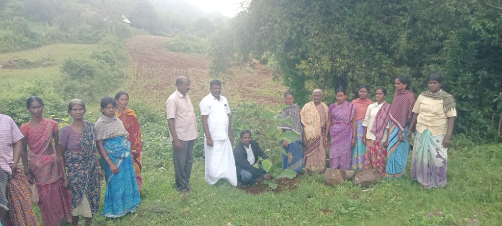 ADOPT A TREE : TO PROTECT OUR ENVIRONMENT & EARTH