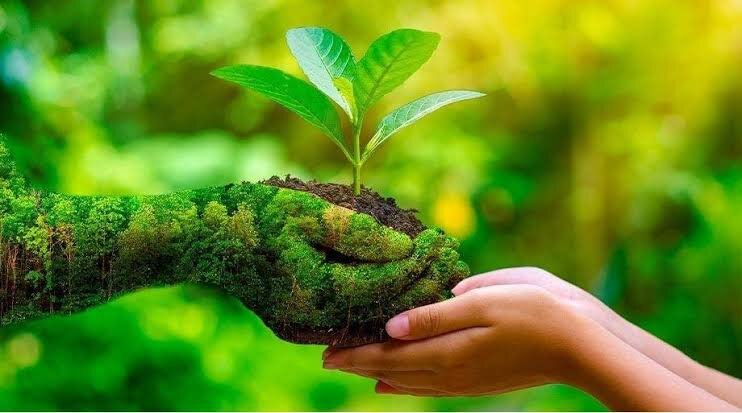 ADOPT A TREE : TO PROTECT OUR ENVIRONMENT & EARTH