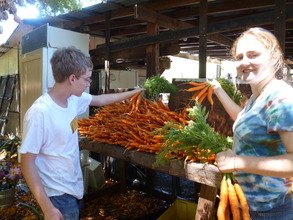 Rinsing Carrots for Shareboxes