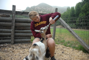 Daily Chores: bottle feeding baby goats