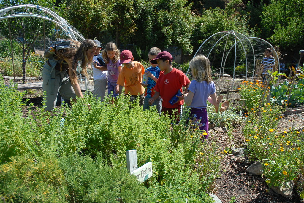 Day Campers Explore the Garden