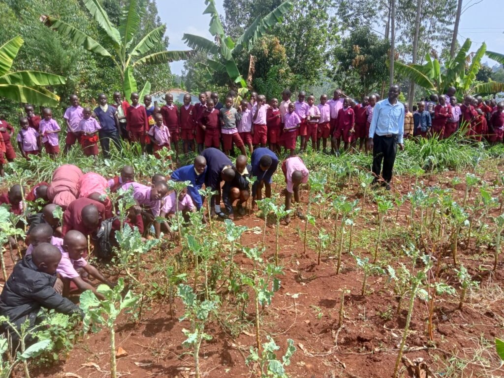 Improved water access and hygien in rural schools