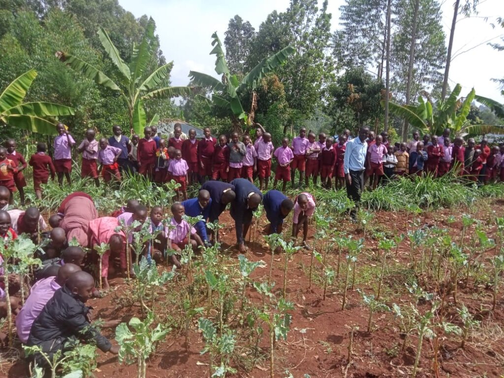 Improved water access and hygien in rural schools