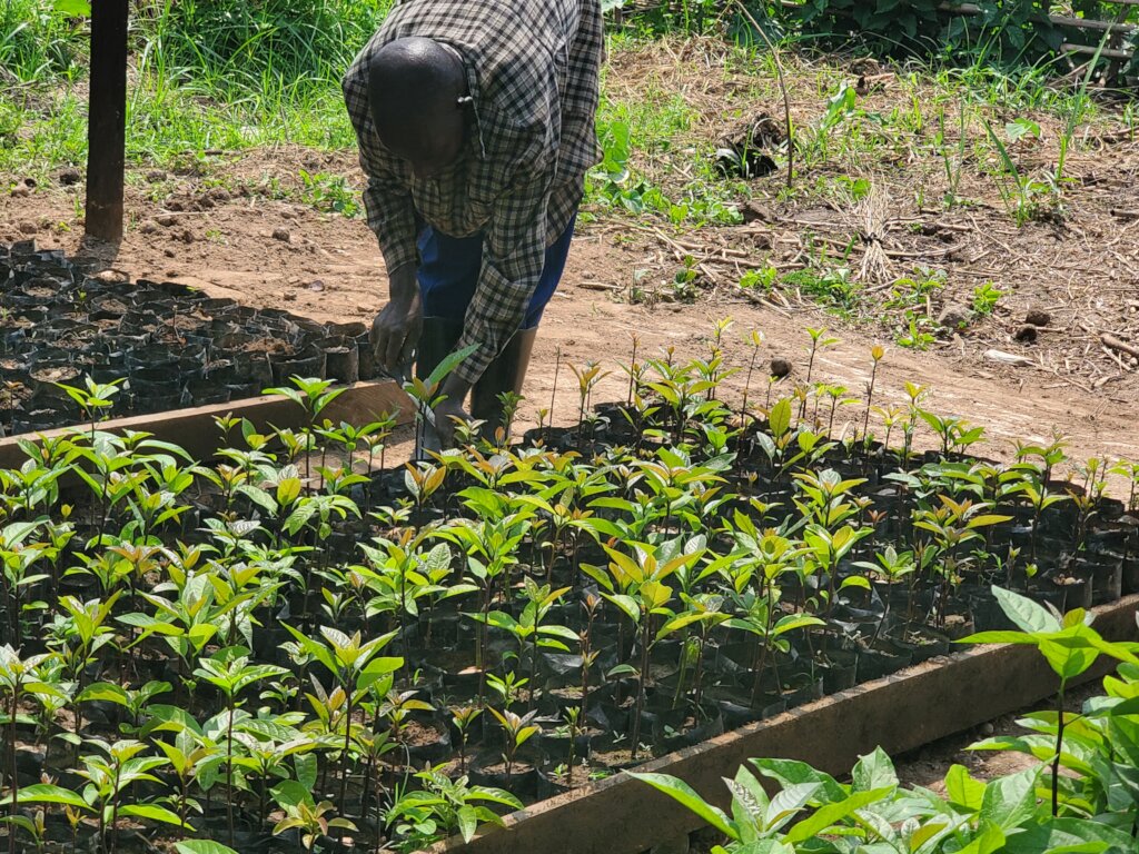 L'AGRICULTURE POUR L'AUTONISMISATION DES FEMMES