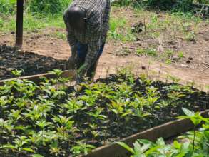 L'AGRICULTURE POUR L'AUTONISMISATION DES FEMMES