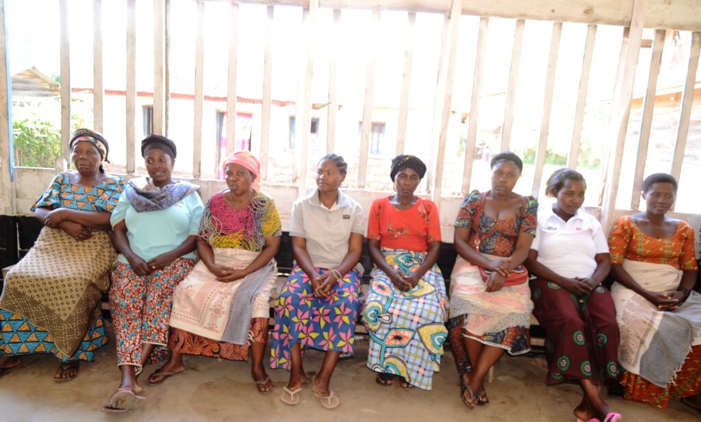 Economic Resilience for 125 Women and Girls in DRC