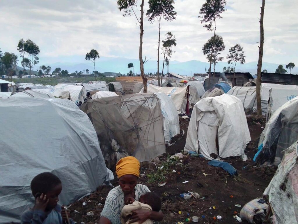Economic Resilience for 125 Women and Girls in DRC