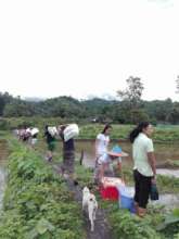 A natural bridge across the river.