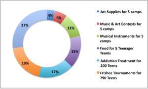 Burmese Youth Expense Chart