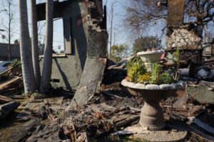 Destruction caused by Eaton Fire  in Altadena, CA