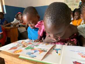 Support Orphaned Children's Library in DRCongo