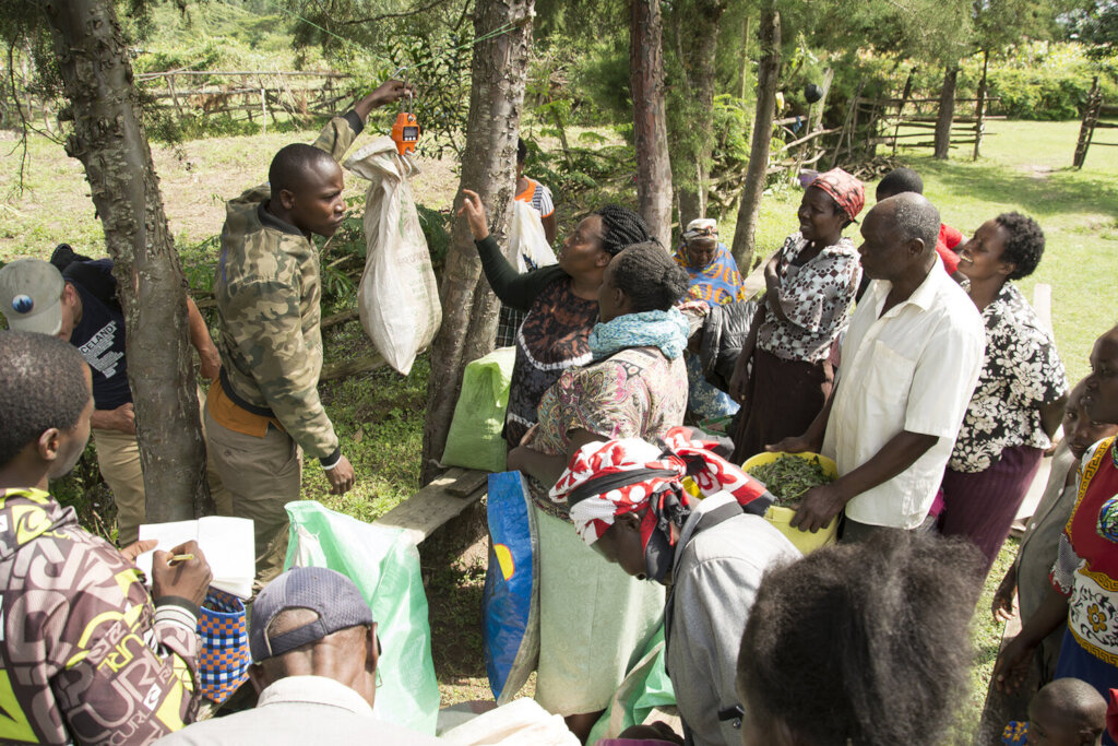 Help Small-Scale Farmers Thrive with the Till App.