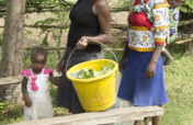 Help Small-Scale Farmers Thrive with the Till App.