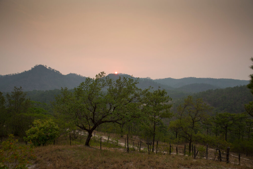 Mayor Potential Educational Supplies for 2025