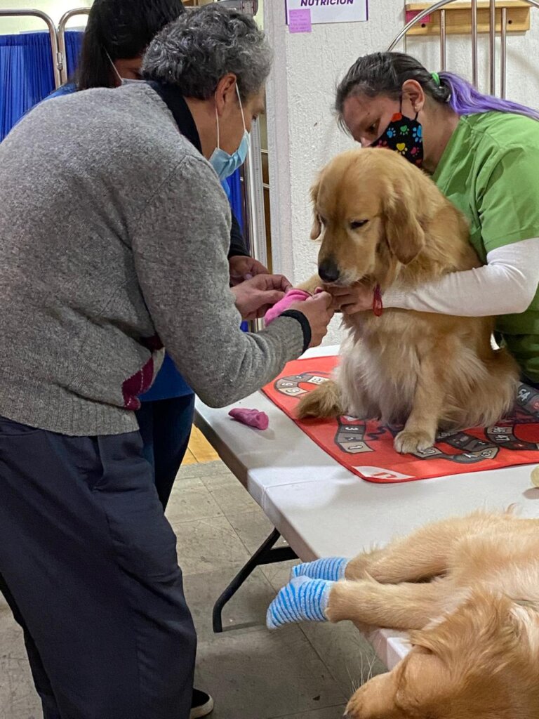 Weaving memories: a new vision for dementia