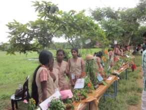 Students exhibiting wildflowers