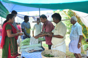 Vegetable market