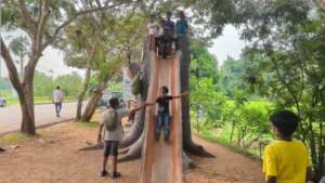 Pure joy as the kids glide down the slide