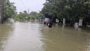 Inundated pathways by flood water