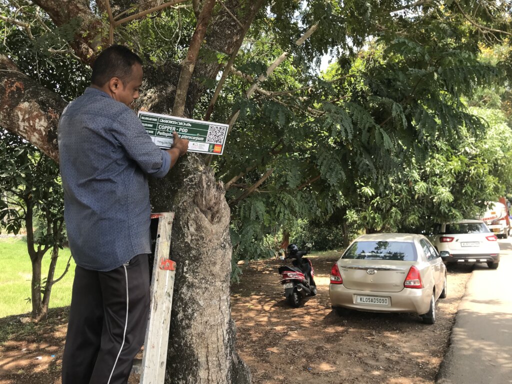 Naalumanikattu: Rural Sustainable Tourism Project