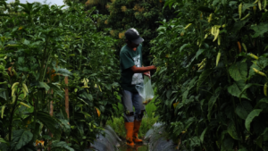 Practicing Sustainable Agriculture