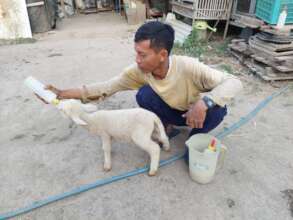 Activity at Punthuk Sewu Learning Center
