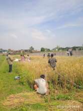 Practicing regenerative farming with youth