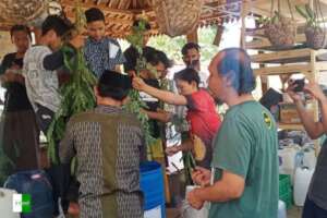 Agriculture training session for young farmers