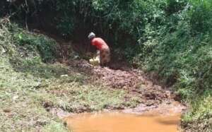 A Woman Collects Water from the New Pipe