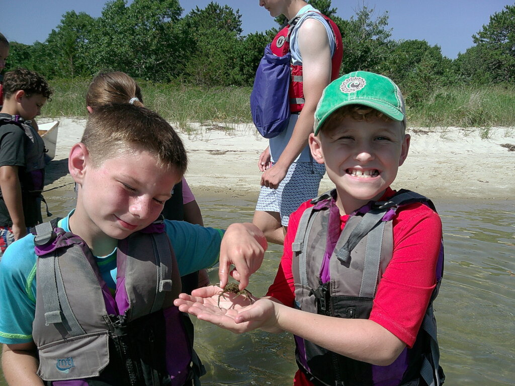 Finding Beach Critters All Day Long