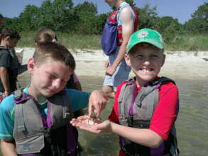 Finding Beach Critters All Day Long