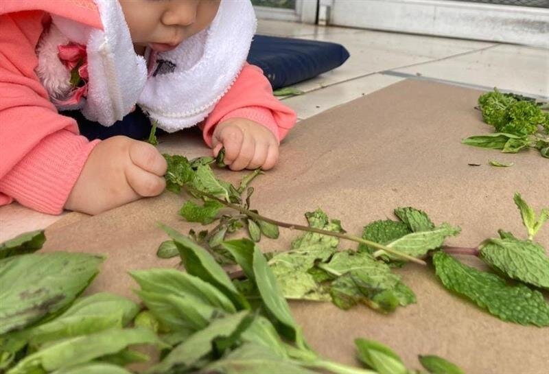 Become a Sponsor and Change Their Future