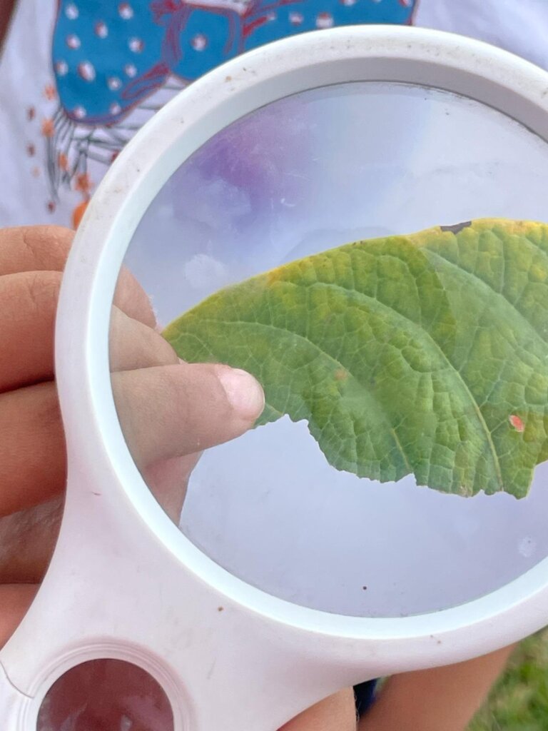 Become a Sponsor and Change Their Future