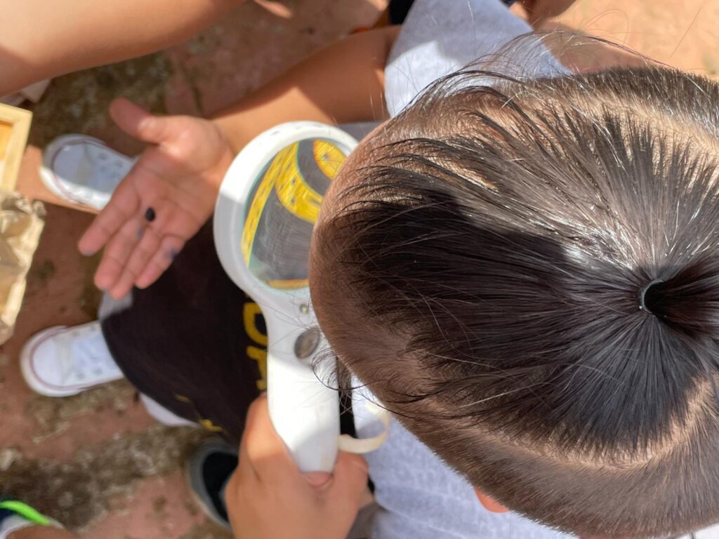 Become a Sponsor and Change Their Future