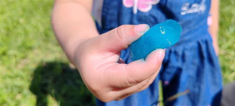 Become a Sponsor and Change Their Future