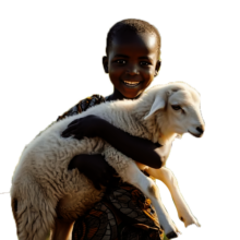 QURBAN APPEAL 2026/1447