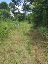 Current state of the access road to the site