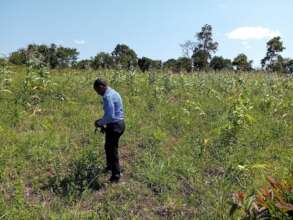 UYSTO ED visited the project proposed site